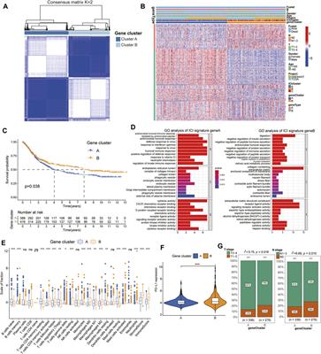 Characteristics of the Immune Cell Infiltration Landscape in Gastric Cancer to Assistant Immunotherapy